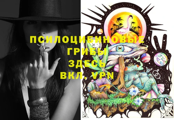 круглые Белокуриха