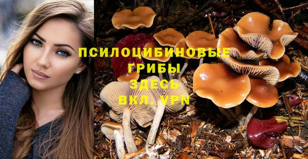 альфа пвп Саяногорск