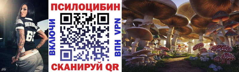 Псилоцибиновые грибы MAGIC MUSHROOMS  что такое наркотик  Куртамыш 